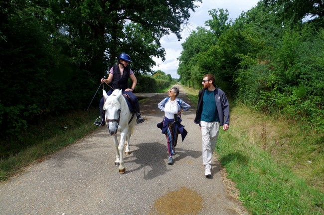 Cheval Gaelle juillet 2025