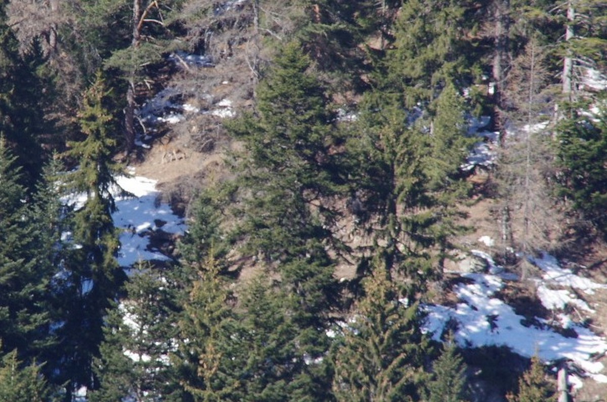 fev2019valfrejusJ4_0001.jpg