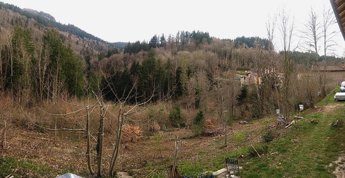 DebroussaillageAvril19_0003.jpg