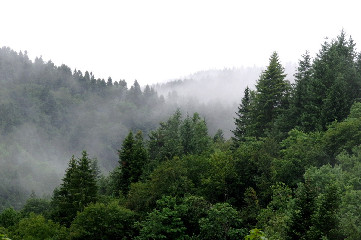 MontagneStVictorJuillet19_0005.jpg