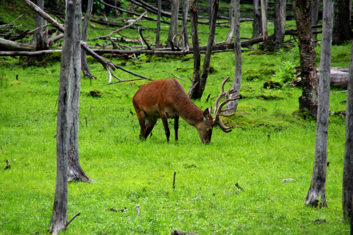 J_ParcOmegaJuillet23_0011.jpg