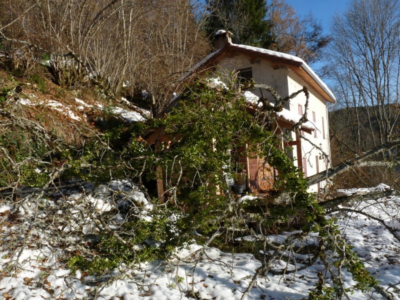 stvictordegatsnov20130005.jpg